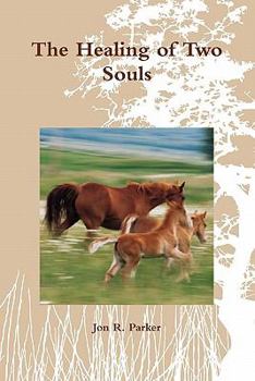 Paperback The Healing of Two Souls [Chinese] Book