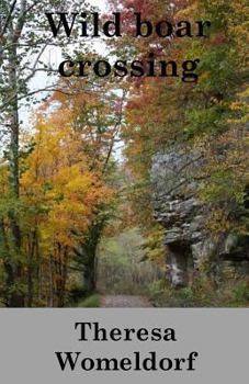 Paperback Wild Boar Crossing: Christian Romance Novel Book