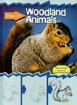 Library Binding Woodland Animals Book