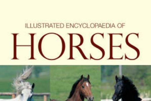 Hardcover Illustrated Encylopedia of Horses (Understanding Your Animal) Book