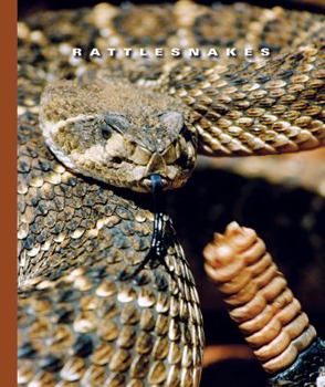 Library Binding Rattlesnakes Book