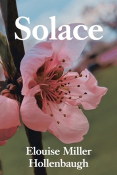 Paperback Solace Book
