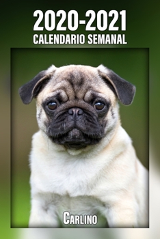 2020-2021 Calendario Semanal Carlino: 221 Páginas | Tamaño A5 | 24 Meses | 1 Semana en 2 Páginas | Planificador | Agenda Semana Vista | Canófilo | Perro | En Español (Spanish Edition)