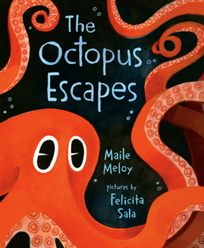 Hardcover The Octopus Escapes Book