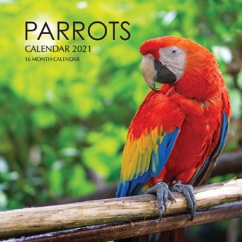 Paperback Parrots Calendar 2021: 16 Month Calendar Book