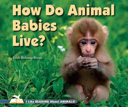Paperback How Do Animal Babies Live? Book