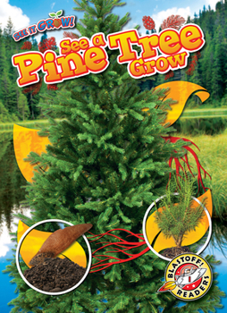 Library Binding See a Pine Tree Grow Book