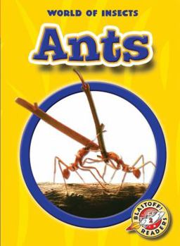 Ants - Book  of the World of Insects