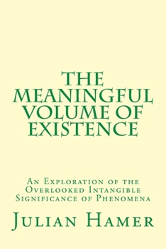 Paperback The Meaningful Volume of Existence: An Exploration of the Overlooked Intangible Significance of Phenomena Book