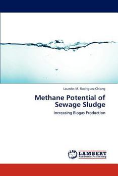 Paperback Methane Potential of Sewage Sludge Book