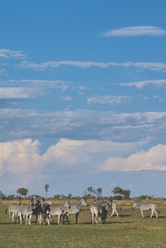 Kalender 2020: Wochenplaner Botswana Edition | Praktischer Organizer im DIN A5 Format für Weltenbummler mit Fernweh | 1 Doppelseite = 1 Woche (German Edition)