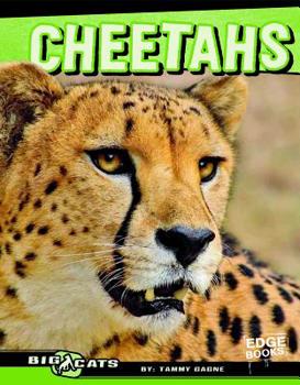 Hardcover Cheetahs Book