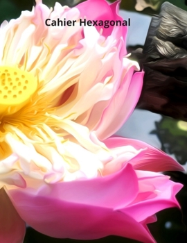 Cahier Hexagonal: 150 pages pour prendre vos notes de chimie organique, biochimie (étudiants, professeurs et professionnels) (French Edition)