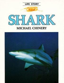 Paperback Shark - Pbk (Life Story) Book