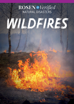 Library Binding Wildfires Book