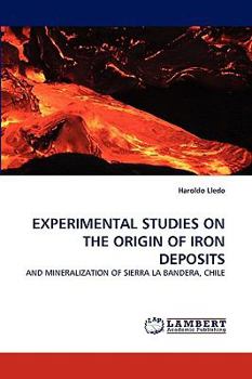 Paperback Experimental Studies on the Origin of Iron Deposits Book