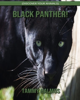 Black Panther! (Discover Your Animals)