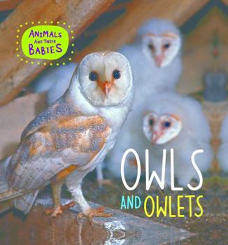 Hardcover Owls and Owlets Book