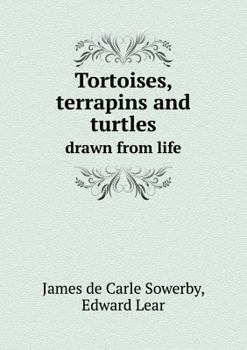 Paperback Tortoises, terrapins and turtles drawn from life Book