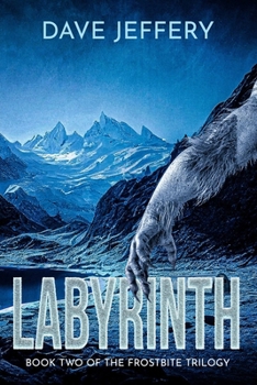 Paperback Labyrinth Book