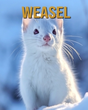 Paperback Weasel: Amazing Photos and Fun Facts Book