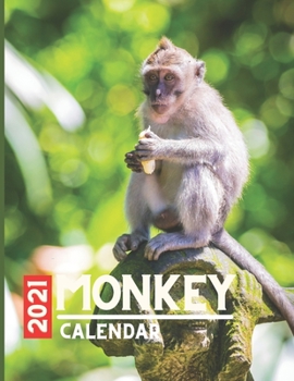 Paperback Monkey Calendar 2021: Planner and Calendar & important dates & save important memories pages for monkey lovers, owners, funs and animals fun Book