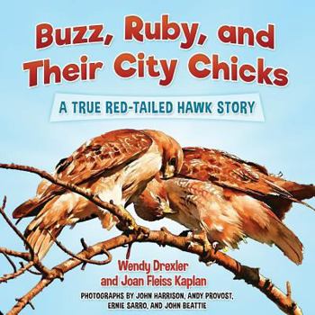 Paperback Buzz, Ruby, and Their City Chicks: A True Red-Tailed Hawk Story Book