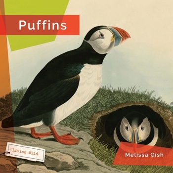 Paperback Puffins Book