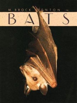 Hardcover Bats Book