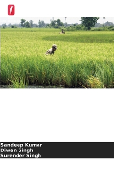 Estratégias de sementeira para o cultivo do arroz (Portuguese Edition)