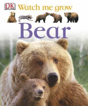 Hardcover Bear Book