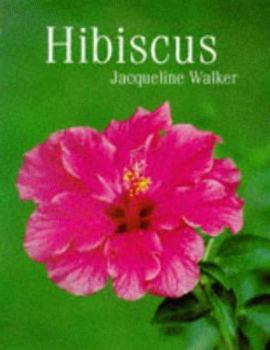 Hardcover Hibiscus Book