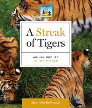 Library Binding Streak of Tigers: Animal Groups in the Jungle: Animal Groups in the Jungle Book