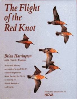 Hardcover The Flight of the Red Knot: A Natural History Account of a Small Bird's Annual Migration from the Arctic Circle to the Tip of So Book