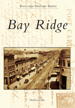 Paperback Bay Ridge Book