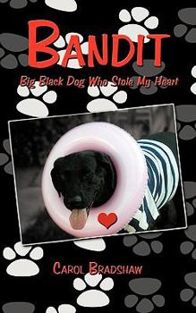 Paperback Bandit: Big Black Dog Who Stole My Heart Book