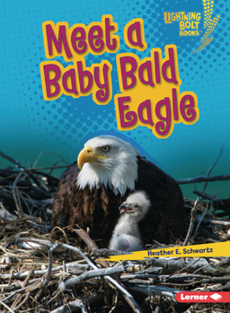 Paperback Meet a Baby Bald Eagle Book