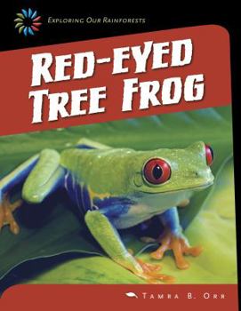 Paperback Red-Eyed Tree Frog Book