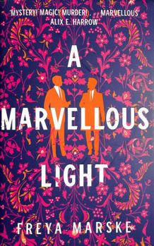 Hardcover A Marvellous Light Book