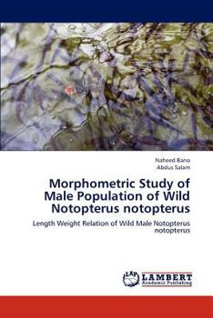 Paperback Morphometric Study of Male Population of Wild Notopterus notopterus Book