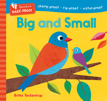Paperback Barefoot Baby-Proof: Big and Small Book