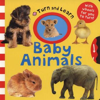 Hardcover Baby Animals. Book