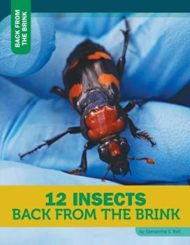 Library Binding 12 Insects Back from the Brink Book