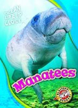 Manatees - Book  of the Ocean Life Up Close