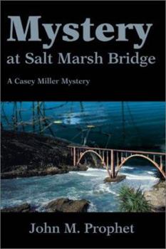 Paperback Mystery at Salt Marsh Bridge Book