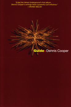 Paperback Guide Book