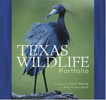 Hardcover Texas Wildlife Portfolio Book
