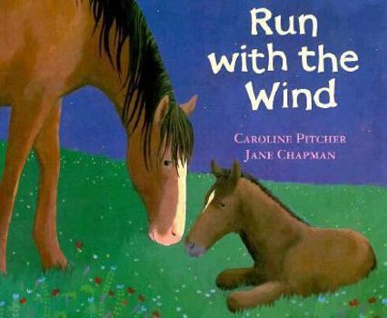 Hardcover Run with the Wind Book