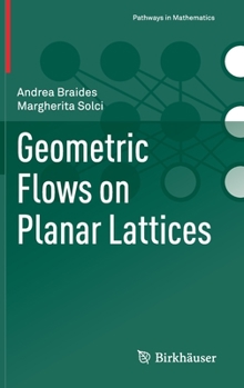 Hardcover Geometric Flows on Planar Lattices Book