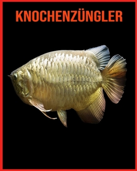 Knochenz?ngler: Knochenz?ngler Tolle Bilder & Wissenswertes ?ber Tiere in der Natur